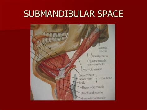 Surgical Fascial Spaces Online Presentation