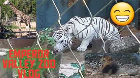 Sarai First Visit To The Emperor Valley Zoo Trinidad Youtuber Youtube