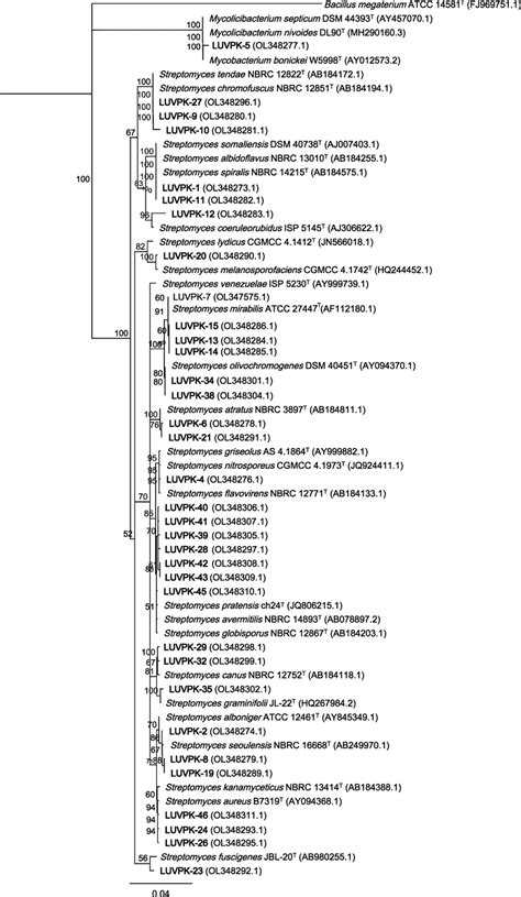 Neighbour Joining Phylogenetic Tree Based On An Alignment Of Partial