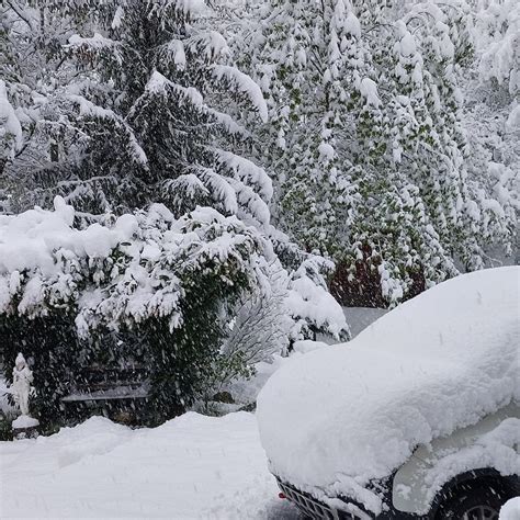 Spettacolo Sull Appennino Modenese Mezzo Metro Di Neve Nel Parmense Foto