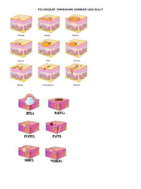 Pelengkap Tambahan Gambar Ukk Kulit Pdf