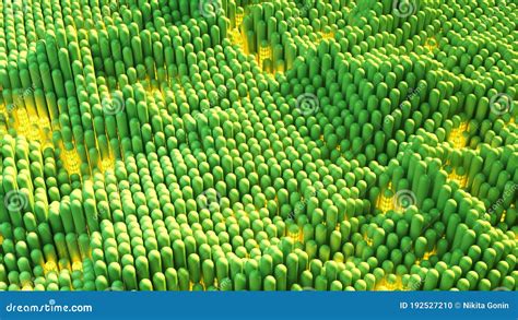 Waving Array Of Green Capsules 3d Rendering Stock Illustration