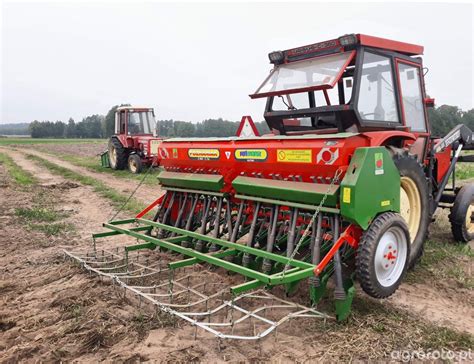 Poznaniak Fotka Polskiego Siewnika 768588 Galeria Rolnicza Agrofoto