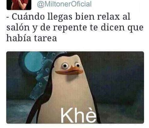 Pin De Nalleli En Humor Educativo Memes Graciosos