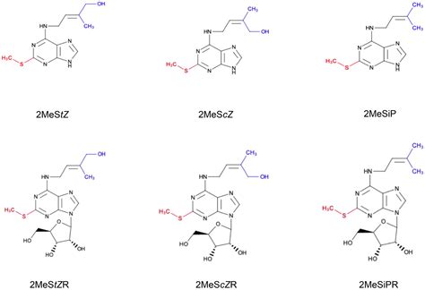 Frontiers The Origins And Roles Of Methylthiolated Cytokinins