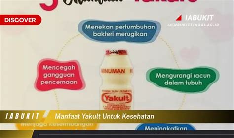 Temukan Manfaat Yakult Untuk Kesehatan Yang Bikin Kamu Penasaran