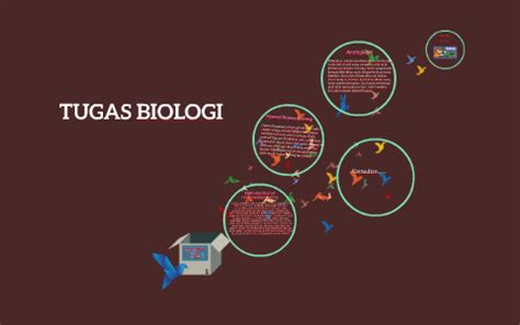 Teknologi Yang Berkaitan Dengan Sistem Peredaran Darah By Rizqi Asm On