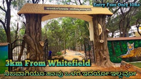 Kadugodi Tree Park Whitefield Bangalore Best Places In Bangalore