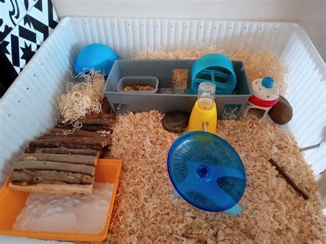 Diy Hamster Cage Pet Supplies Homes And Other Pet Accessories On Carousell