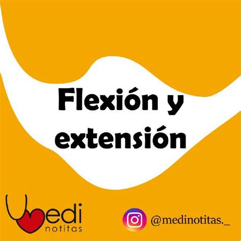 Flashcard Flexión y Extensión Medi notitas uDocz