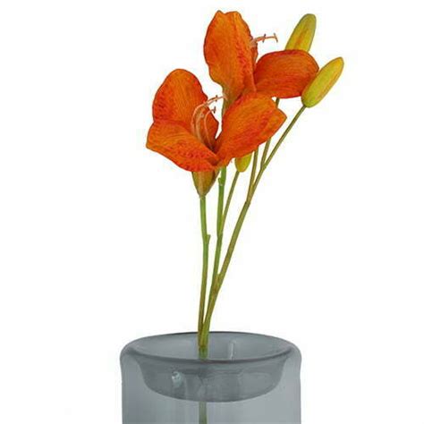 Orange Lily - Perenne Design