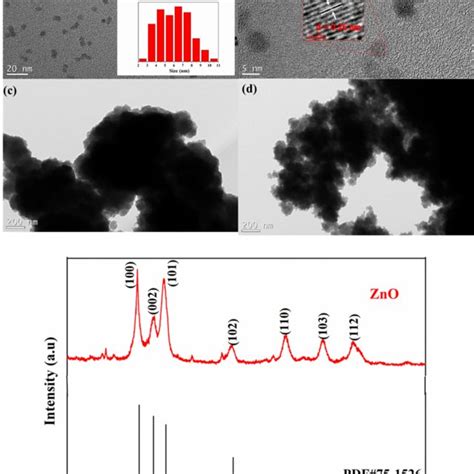 Tem Image Of Zno Qds A Insert Shows The Size Distribution Of Zno