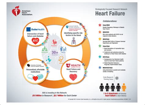 Overview of the AHA heart failure strategically focused research ...