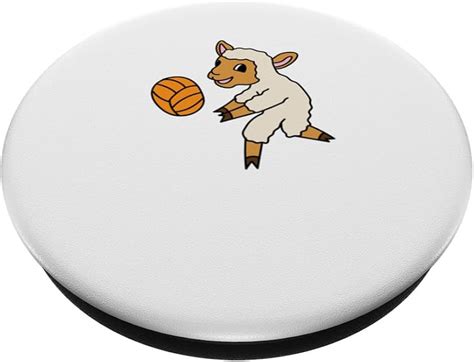 Animals Playing Volleyball
