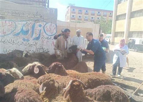 الزراعة تنظم قافلة بيطرية بمحافظة الغربية لعلاج الأمراض الحيوانية