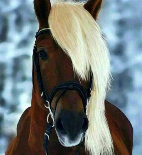 Chestnut Horse Cross Stitch Pattern Horse Cross Stitch - Etsy | Horses ...