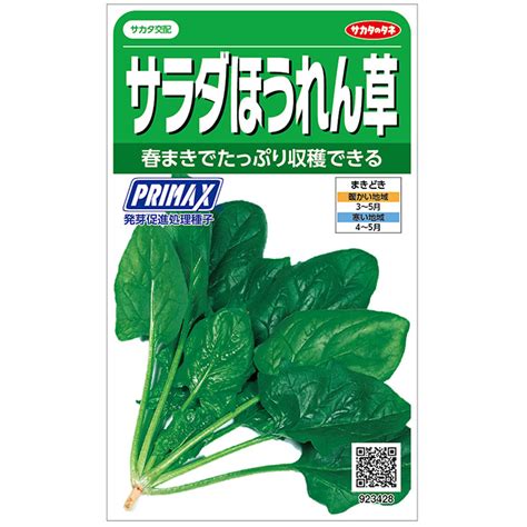 サラダほうれん草 ほうれん草 E 種や｜国内最大級の野菜種・花種・苗・農業資材の販売店