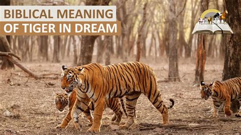 Biblical Meaning Of Tiger In Dream I Find Out Dreams About Tiger Youtube