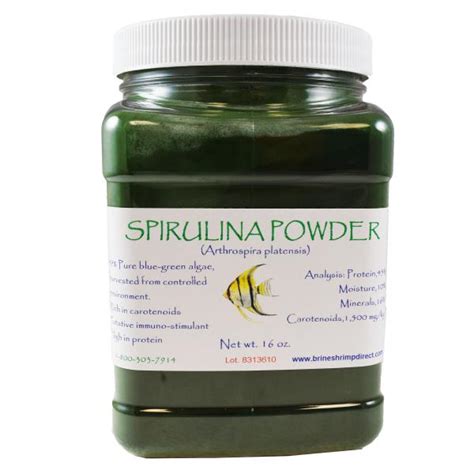 Spirulina Powder Algae Pastes Microalgae Concentrate Phyto Paste