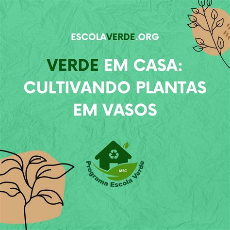 VERDE EM CASA CULTIVANDO PLANTAS EM VASOS Programa Escola Verde