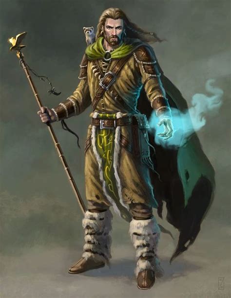 Pathfinder Druid Male