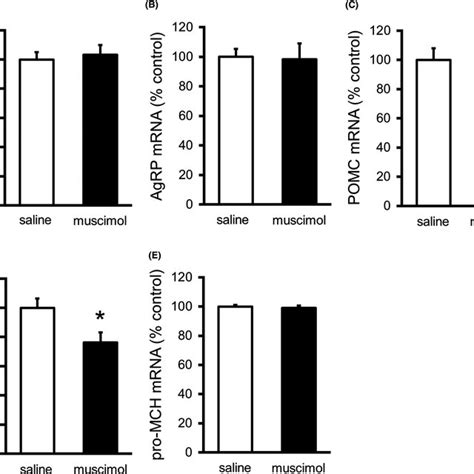 Effect Of The GABAA Receptor Agonist Muscimol 1 Mg Kg I P On MRNA