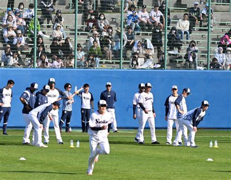 【動画あり】ヤクルト、浦添でキャンプイン あぐーの差し入れに高津監督「しっかり食べて素晴らしいスタートに」 球場とのシャトルバス運行 琉球