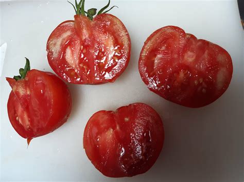 Zoom sur les tomates par Jeanne Amap de Bègles