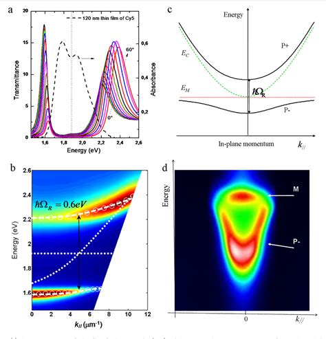 Pdf Hybrid Light Matter States In A Molecular And Material Science