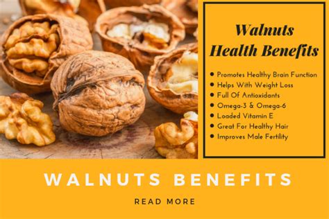 Walnuts The Brain Food - Health Benefits of Walnuts – We Got Nuts