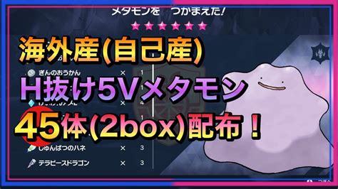 【参加型】特性パッチ付き6vメタモン周回【ポケモンsv】 Youtube