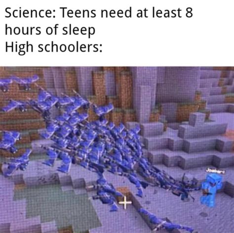 Minecraft Meme By Tgmskyrim Memedroid