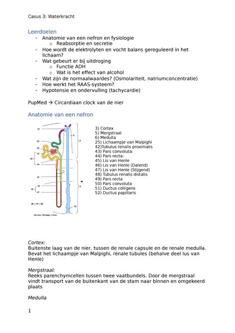 Casus 3 Regulatie En Integratie I Casus 3 Waterkracht Leerdoelen