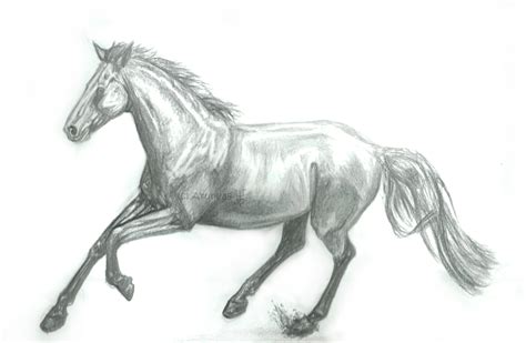 Galloping Horse by Arunea8 on DeviantArt