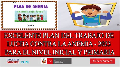 Excelente Plan Del Trabajo De Lucha Contra La Anemia Para El