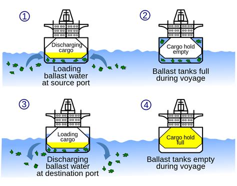 Effective FAQs Guideline – Ballast Water Treatment System