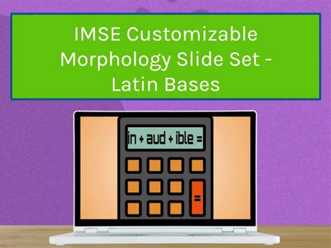 IMSE Impact Morphology Training