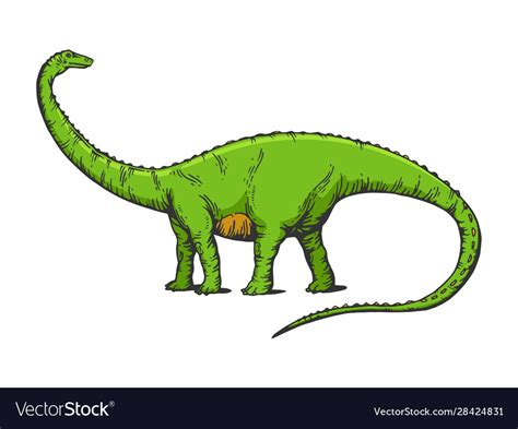 Diplodocus Dinosaur Sketch Engraving Royalty Free Vector