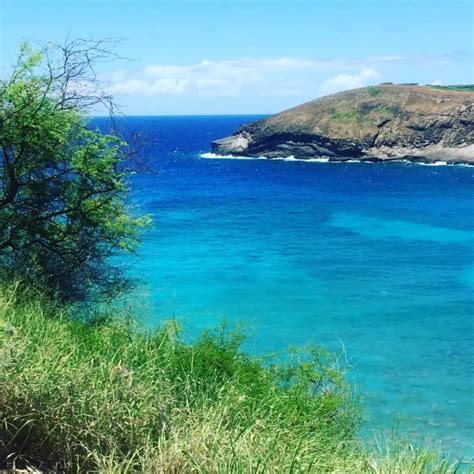 Snorkeling At Hanauma Bay Artofit