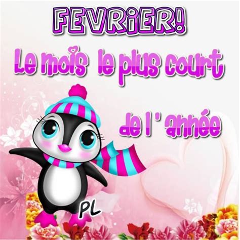 ᐅ 16 Février images photos et illustrations pour facebook