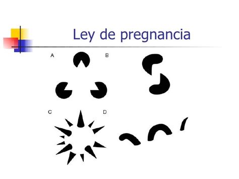 Leyes De La Gestalt