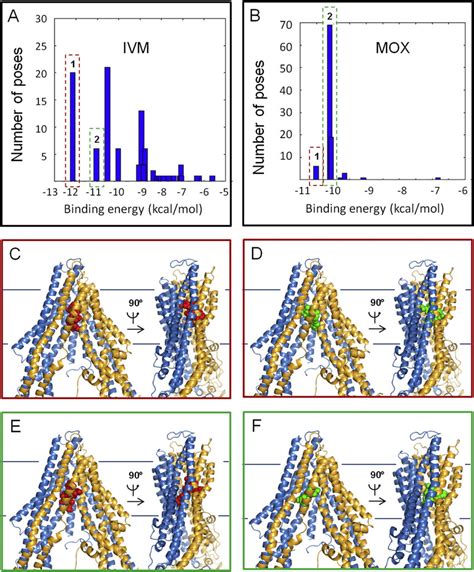 Ivermectin and moxidectin binding to Cel-Pgp-1. A and B. Histograms of... | Download Scientific ...