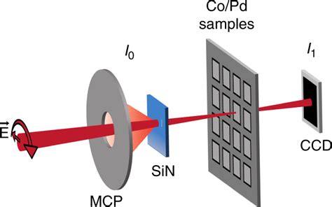 Experimental Setup For X Ray Absorption Spectroscopy The Setup Was Download Scientific Diagram