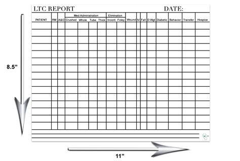 Long Term Care Report Sheet for Nurses- Digital download