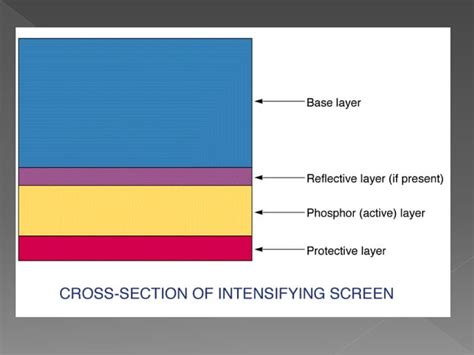 Intensifying Screen X Ray Ppt