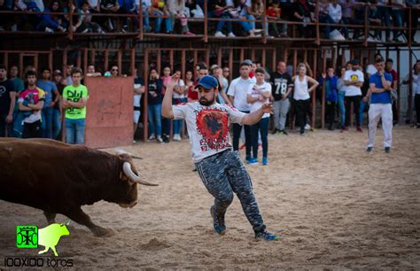 X Toros Capea En La Plaza De Toros De Valdaracete