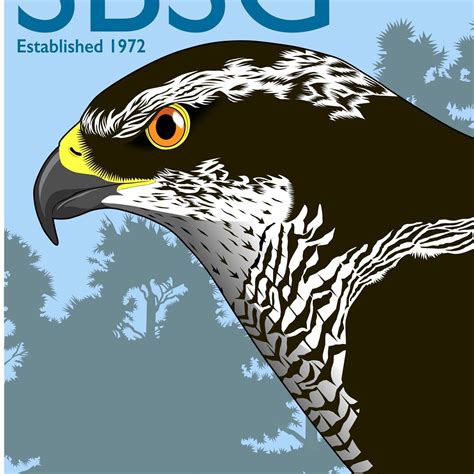 Sheffield - We're looking to gather Ring Ouzel sightings this August