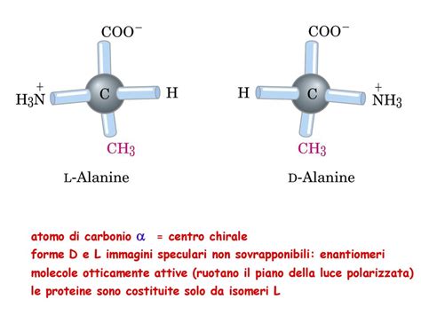 LE MACROMOLECOLE Sono Polimeri Formati Ppt Scaricare