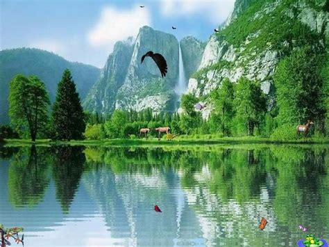 Free Nature Screensaver with Beautiful Bird Flying over Mountains and Trees