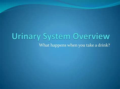 Ppt Urinary System Overview Powerpoint Presentation Free Download Id 9570645